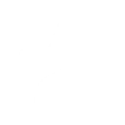 ⭐